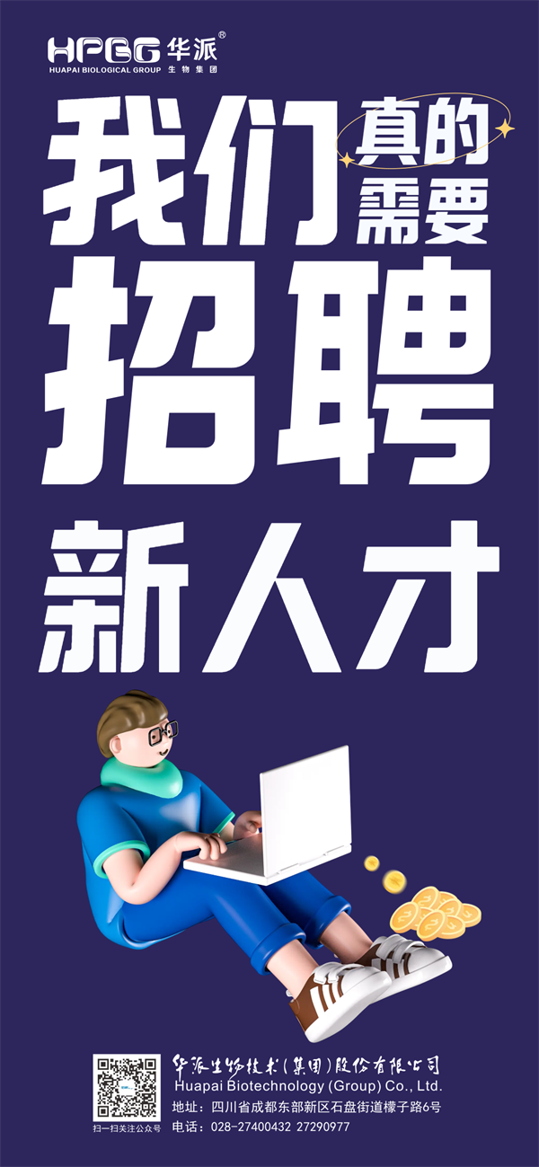 利来国际猪网